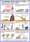 La convivencia entre tu perro y tu bebe