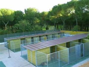 Además de la residencia canina, ofrecen también la posibilidad de adiestrar a tu perro.