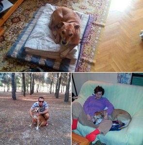 Una víctima inocente